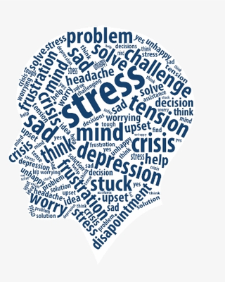 The Institute for Emotional Regulation, LLC. The Institute for Emotional Regulation, LLC.